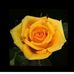 Profile Picture of Matt Garry (@matt.garry.35) on Facebook