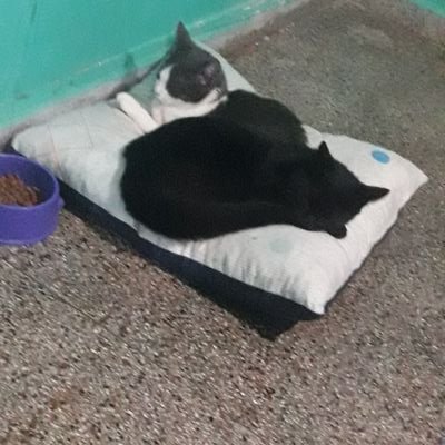 Profile Picture of Lori Miguel (@miguel_lori) on Twitter