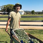 Profile Picture of Jordan Lim (@chubsthebelly) on Instagram