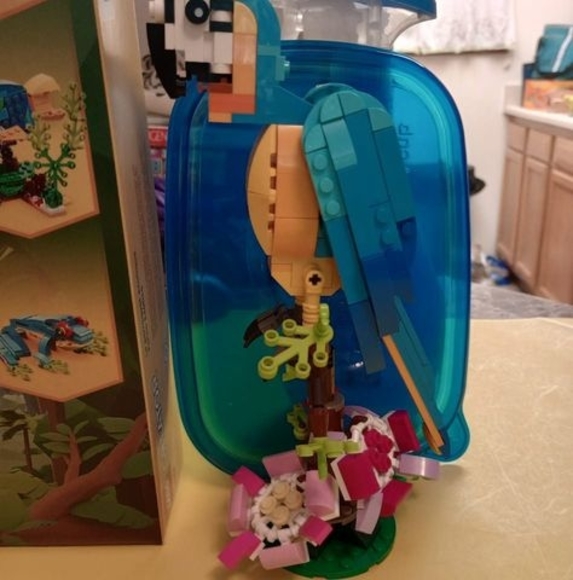 Profile Picture of Shelly Ferguson (@shellymferguson) on Poshmark