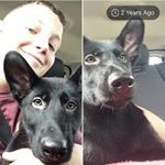 Reese Moore - Instagram Profile Picture of Reese Moore (@reesemoore437) on Instagram