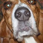 Profile Picture of Audrey Findlay (@audreyfindlay) on Instagram