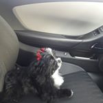 Profile Picture of Jacqueline Calhoun (@jacquelinecalhoun546) on Instagram