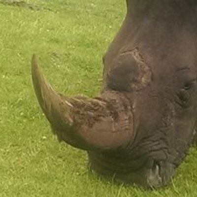 Profile Picture of Joe Denison (@josephdenison) on Twitter