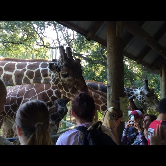 Profile Picture of Brianna Reinecke (@breinecke) on Poshmark