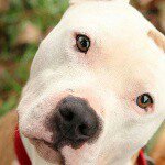 Profile Picture of Blake (@blake_kellogg_27) on Instagram