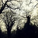 Profile Picture of Roberta Diamond (@rijd1973) on Instagram