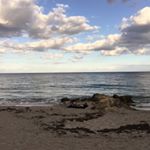 Profile Picture of Paul Greco (@pgreco22) on Instagram