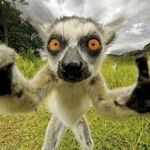 nxxl cxrtxs - Instagram Profile Picture of nxxl cxrtxs (@noel__curt) on Instagram