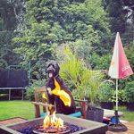 Profile Picture of Mark Desilets (@markcdesilets) on Instagram