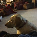 Profile Picture of Trenton Eaton (@123_trent_) on Instagram