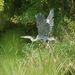 Profile Picture of Terry Neuert (@terryneuert) on Pinterest