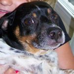 Profile Picture of toby chapman (@toby.1.2) on Instagram