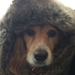 Profile Picture of Debra Mcvicar (@debramcvicar) on Instagram