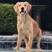 Profile Picture of John Chick (@john.chick.3785) on Facebook