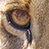 Profile Picture of matt.r (@matt.r) on Flickr