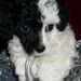 Profile Picture of Brandi Helmenstein (@brhelmenstein) on Pinterest