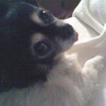 Profile Picture of Sue Barrows (@sue.barrows) on Instagram