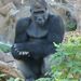 Profile Picture of Carl Harkness (@carlharkness7) on Pinterest