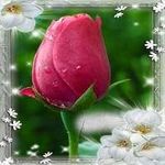 Profile Picture of Mehran Javid (@mehran.javid.315) on Instagram