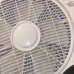 Profile Picture of joshua (@josh.stockman) on Instagram