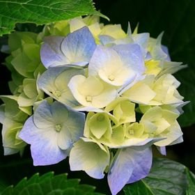 Profile Picture of Apurva Agrawal (@agrawal15809) on Pinterest