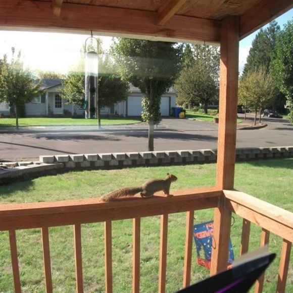 Profile Picture of Mary Bisesi (@mary_bisesi) on Poshmark