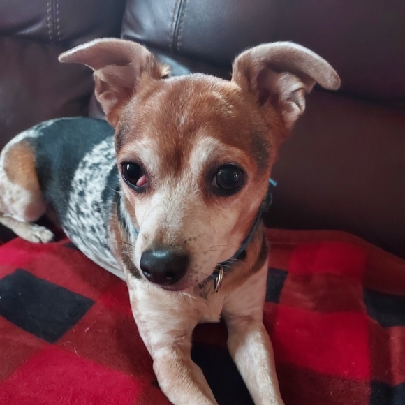 Profile Picture of Kiley Graska (@kileygraska) on Poshmark