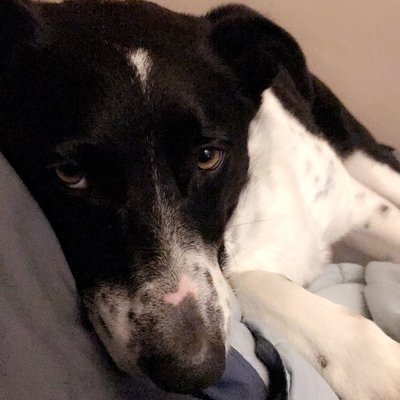 Profile Picture of Scott Fries (@scottfries80) on Twitter