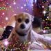 Profile Picture of James Hedges (@james.hedges.33633) on Facebook