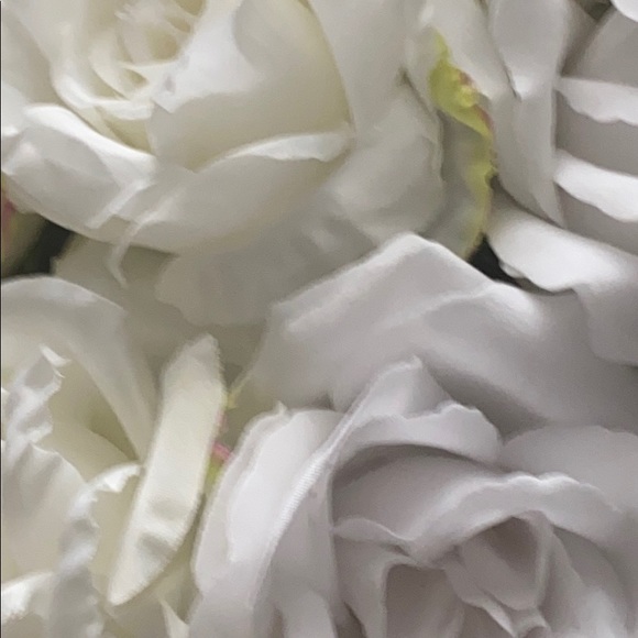 Profile Picture of L White (@maxizzz) on Poshmark