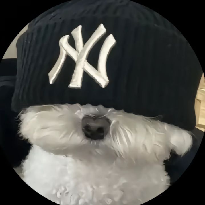 Profile Picture of Thomas McGuinness (@bee.bot41) on Tiktok
