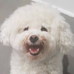 Profile Picture of Samuel Glickman (@the.other.sam.1) on Instagram