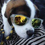 Profile Picture of Zack weaver (@_rockythedogg393) on Instagram