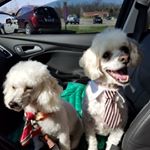 Profile Picture of amy updike (@amyhope2020) on Instagram