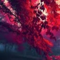 Jackeline Torres-paz - Quora Profile Picture of Jackeline Torres-paz (@jackeline-torres-paz) on Quora