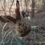 Profile Picture of Pasquale Surace (@surace_pasquale) on Instagram