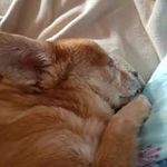 Carrie Pender - Instagram Profile Picture of Carrie Pender (@pendercarrie) on Instagram