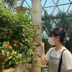 Profile Photo of 지윤 Nina Jiyun Chung (@ji_yun_chung_plants) on Instagram