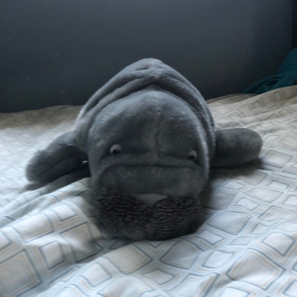 Profile Picture of Evan Ascherl (@evan1123268) on Poshmark