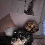 Audrey Keenan - Facebook Profile Picture of Audrey Keenan (@audrey.keenan.2025) on Facebook