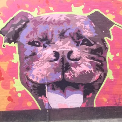 Profile Picture of Daniel McCauley (@11danmcc) on Twitter