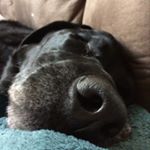 Profile Picture of Scott Rhodenizer (@scottrhodenizer) on Instagram