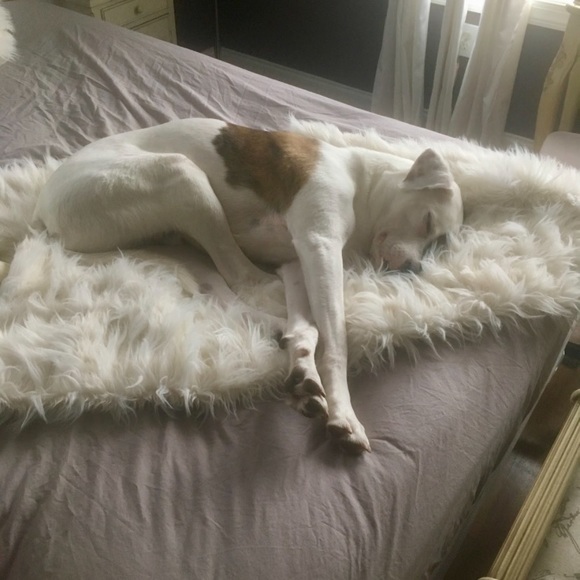 Profile Picture of Claudia Camaj (@marriedtothemob) on Poshmark