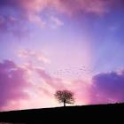 Profile Picture of   Nina Maria Schmitz... (@nina_schmitz) on Tiktok