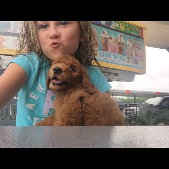 Profile Picture of Cheylar Hubbard (@cheylarhubbard) on Poshmark