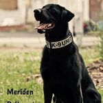 Profile Picture of David Visconti (@dv407) on Instagram