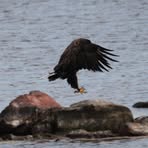 Profile Picture of Robert Norling (@robert.norling.96) on Facebook