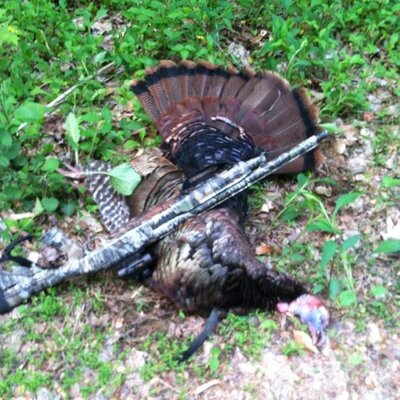 Profile Picture of Jim Beam (@BeamZxx) on Twitter