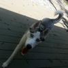 Profile Picture of bug (@@jeffphipps) on Tiktok